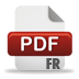 PDF